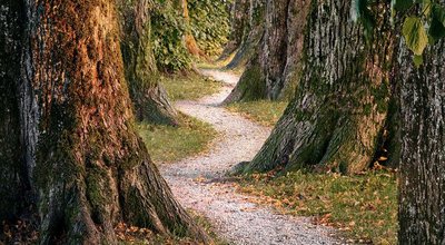 Was ist Bewusstsein?